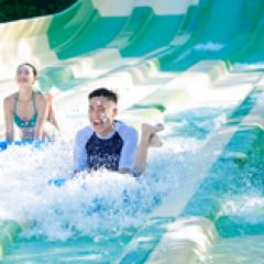 郑州银基动物王国+郑州银基冰雪世界+郑州银基黄帝宫御温泉3日2晚自由行